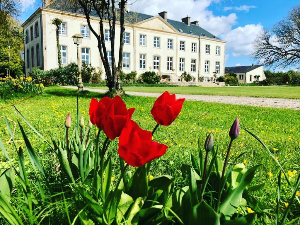 Hotel Du Chateau De Quinéville Eksteriør billede